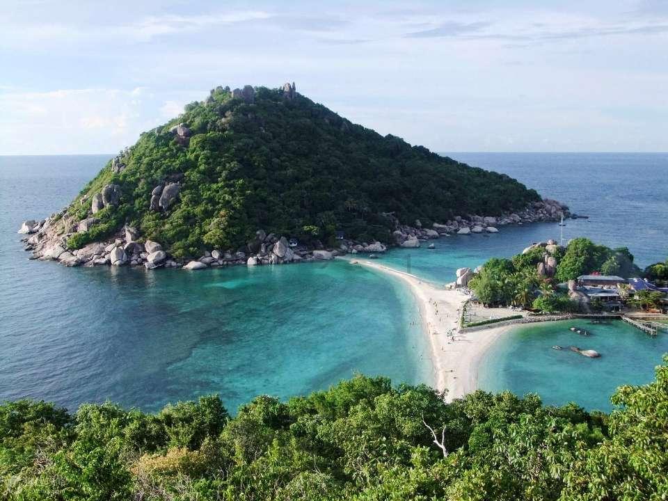 逃离未知丛林