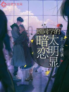 示范引领聚合力 蓄势赋能促振兴